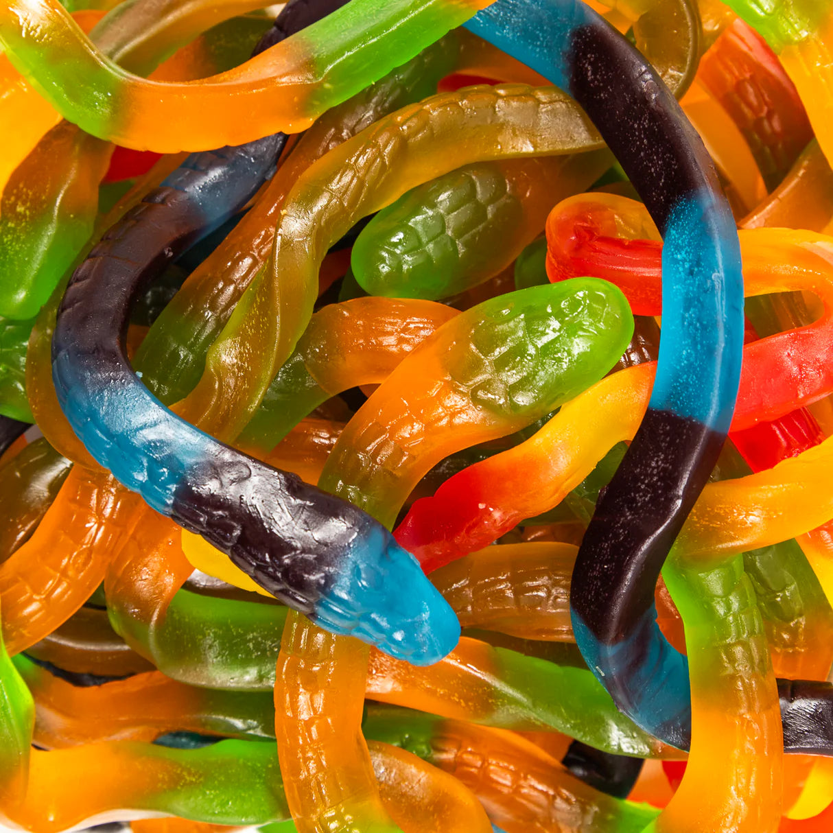 Gummy Pythons